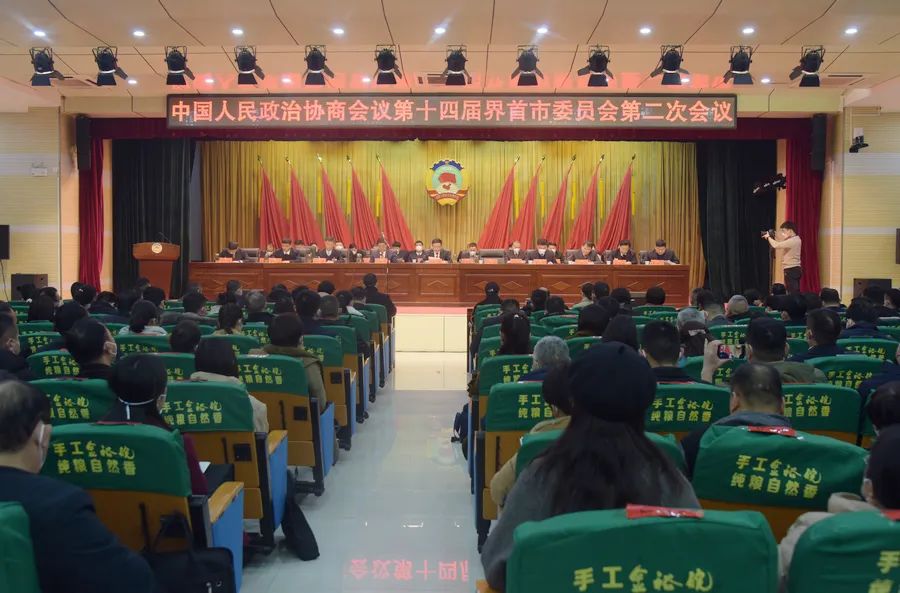 界首市政协十四届二次会议胜利闭幕
