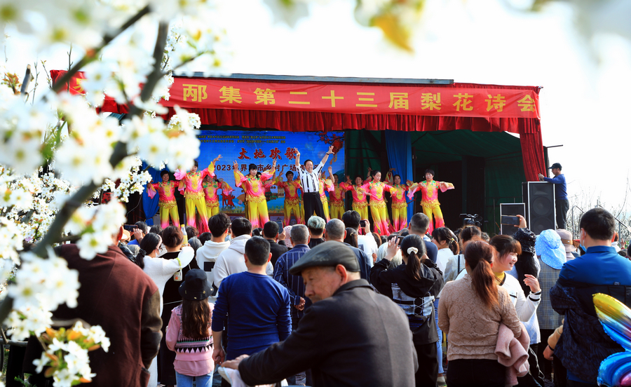 界首举办第二十三届梨花诗会