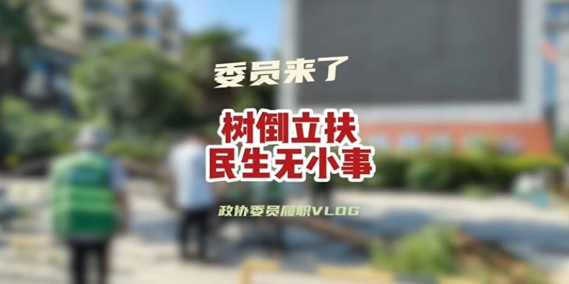 政协委员履职vlog——树倒立扶 民生无小事