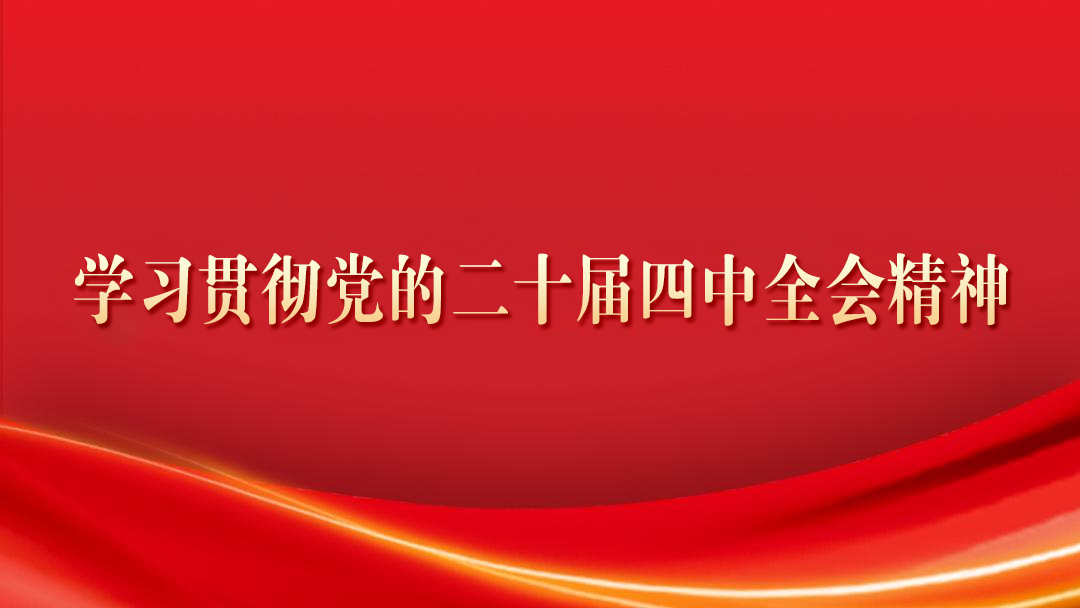 学习贯彻党的二十届四中全会精神