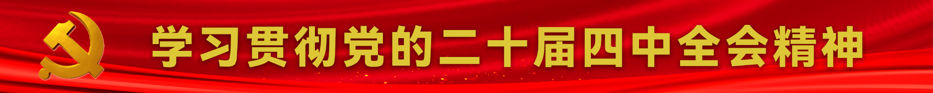 学习贯彻党的二十届四中全会精神