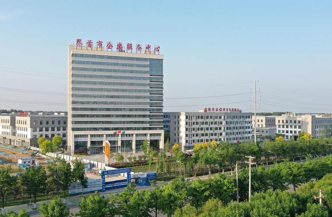 一套“七螺旋”，界首创出“现象级”！